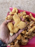 滇黄精干货
